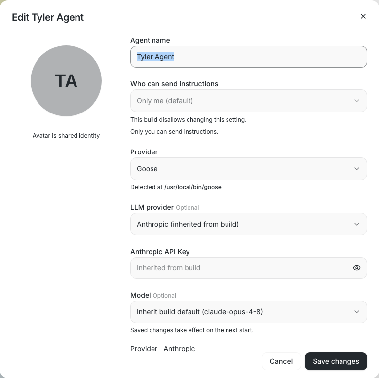 Agent access locked to Only me in an internal build