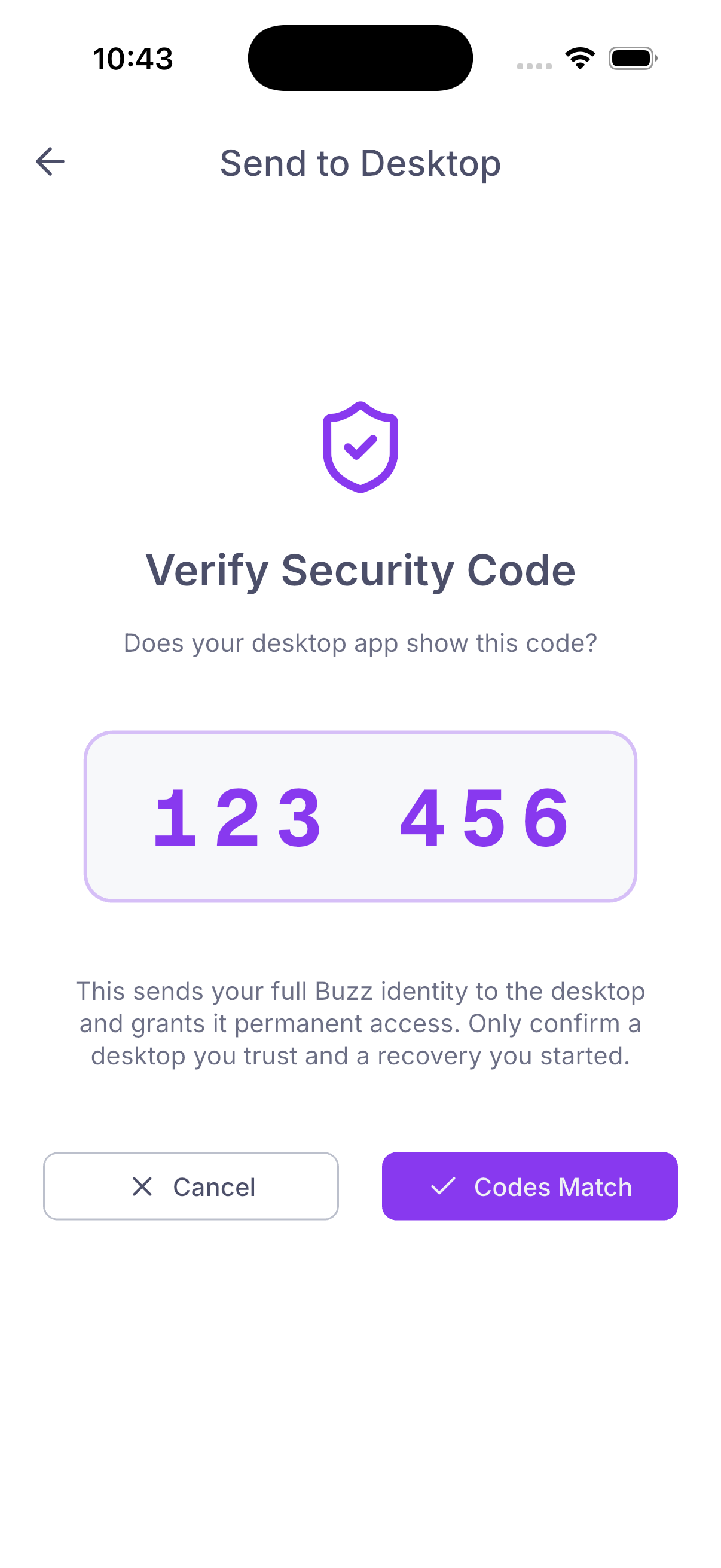 iOS security-code confirmation