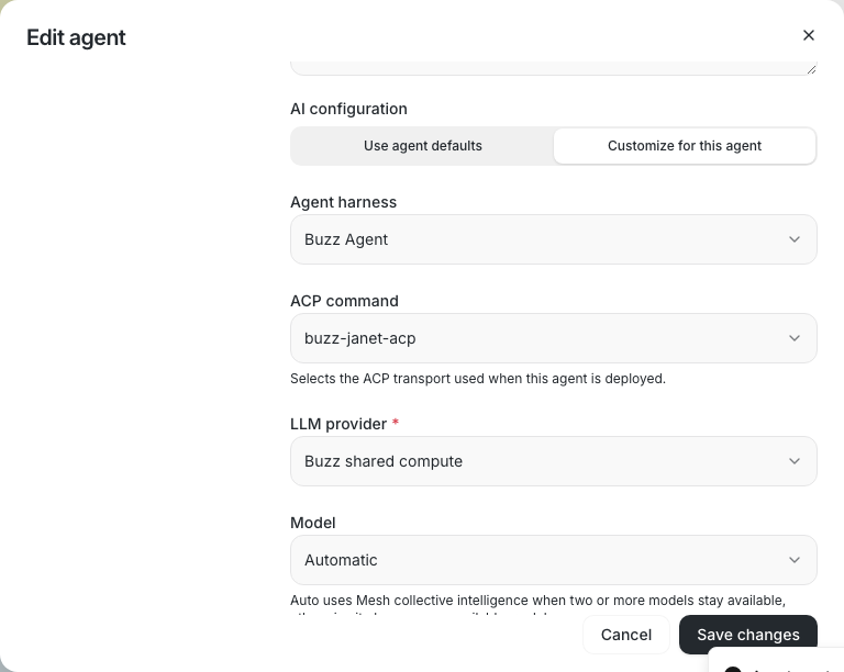 Edit-agent form retaining buzz-janet-acp
